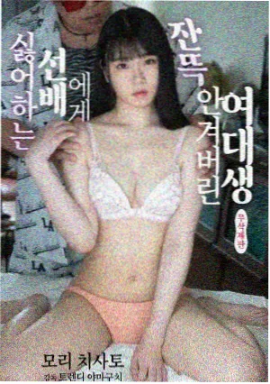 五代火影纲手封面